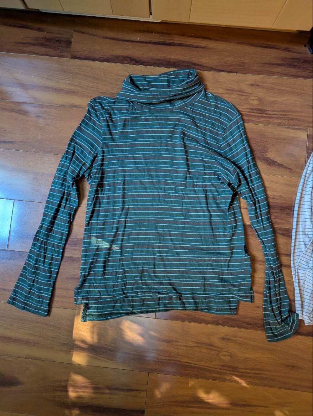Madewell Green & Teal Striped Long-Sleeve Turtleneck Tee